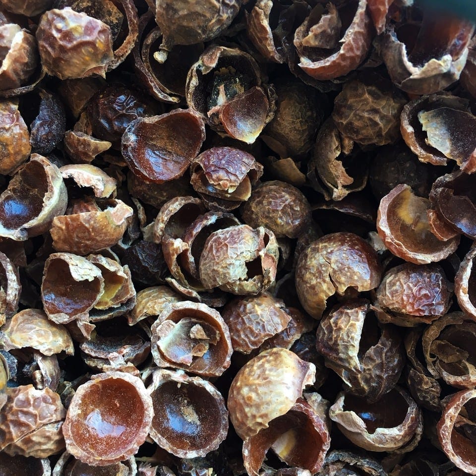 Soap Nuts for Laundry and general Cleaning