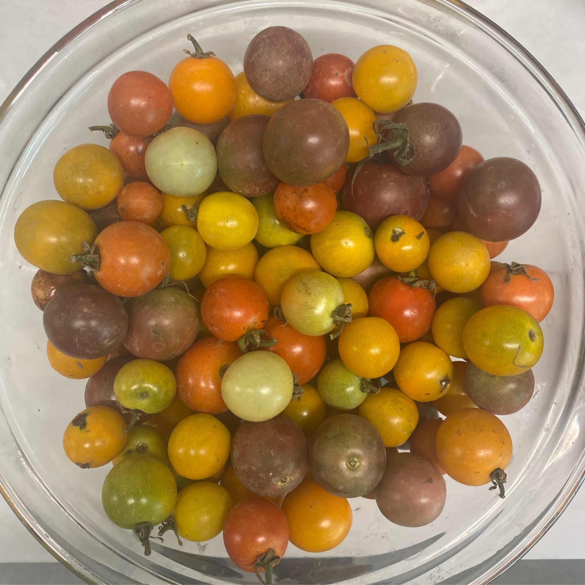cherry tomatoes mixed colors organic