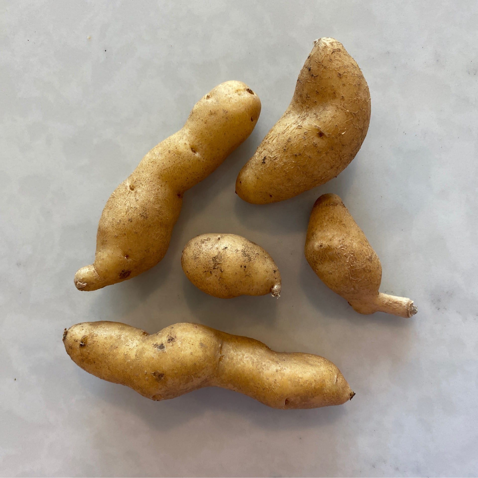 fingerling potatoes organic