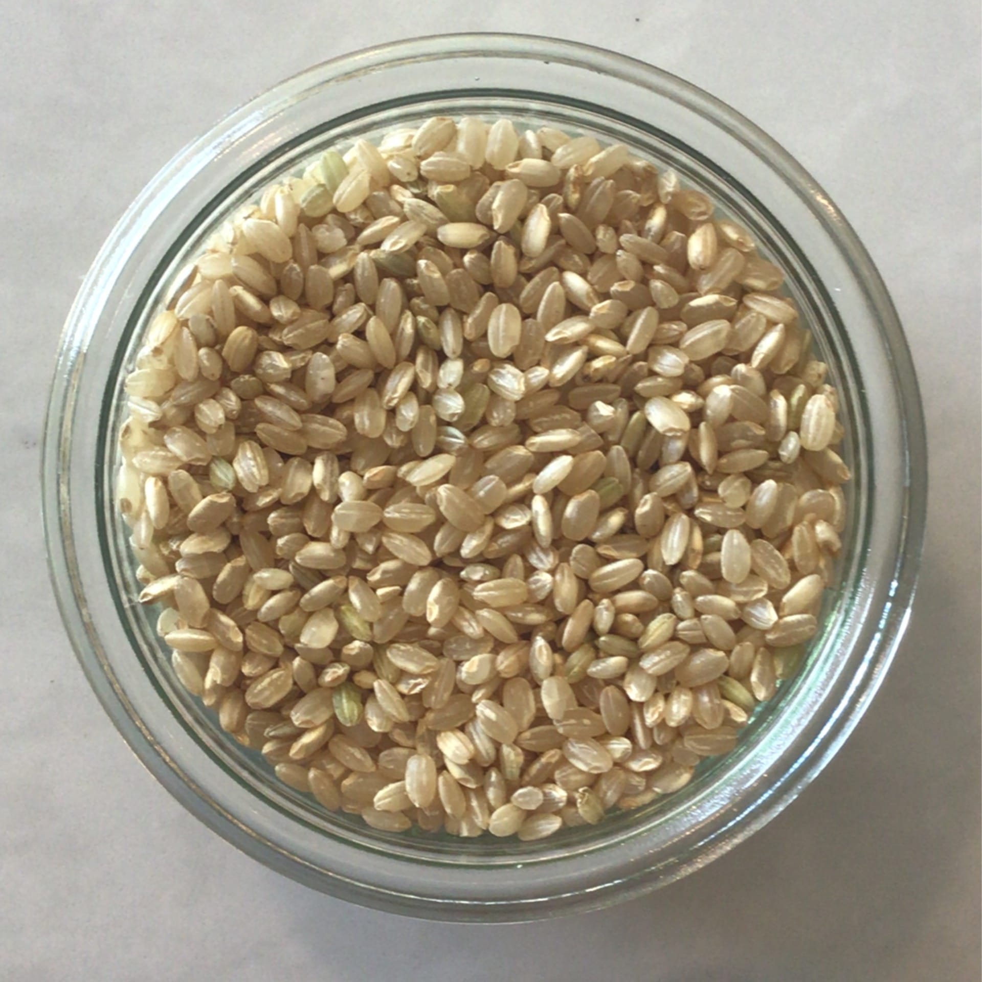 brown rice short grain