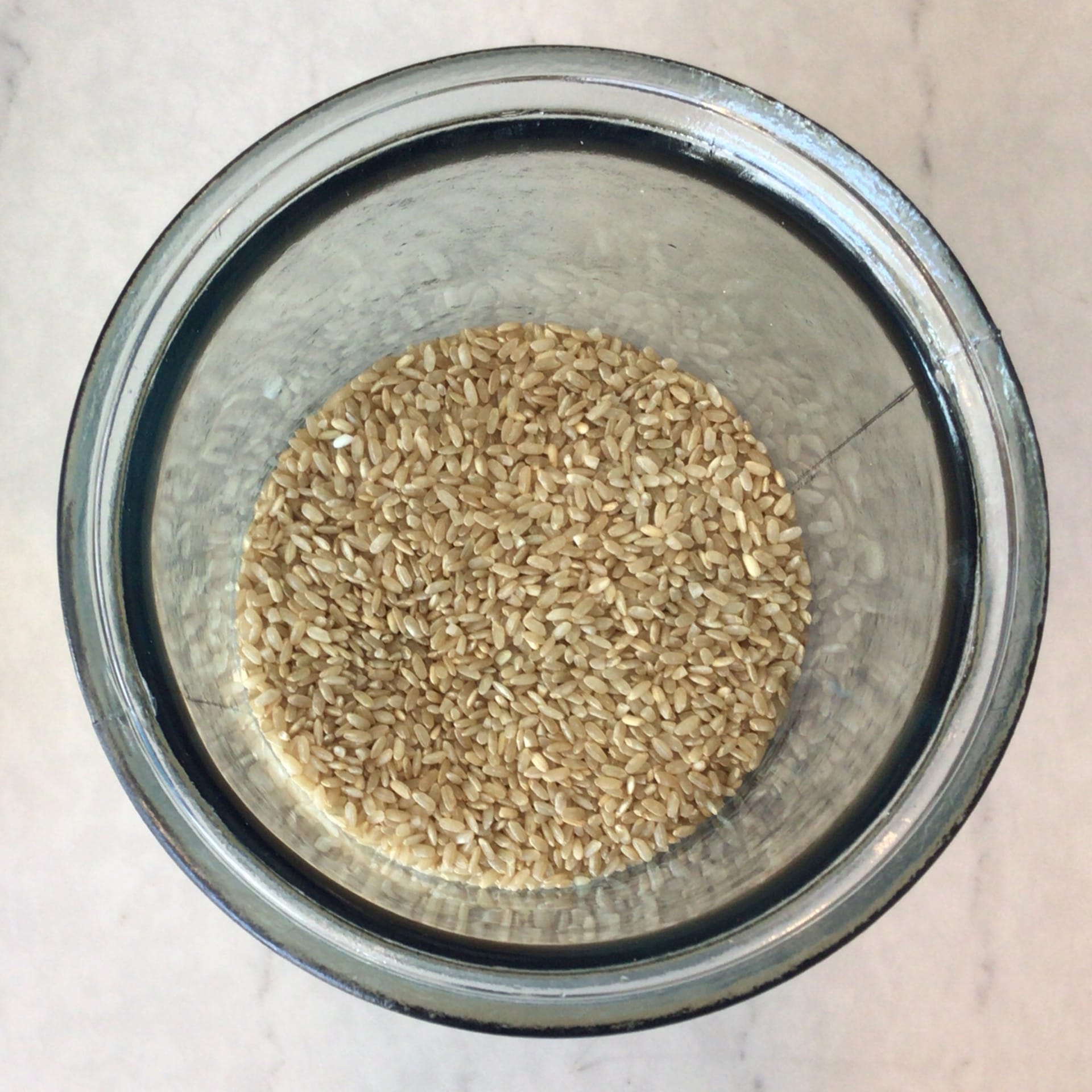 brown rice sprouted medium grain