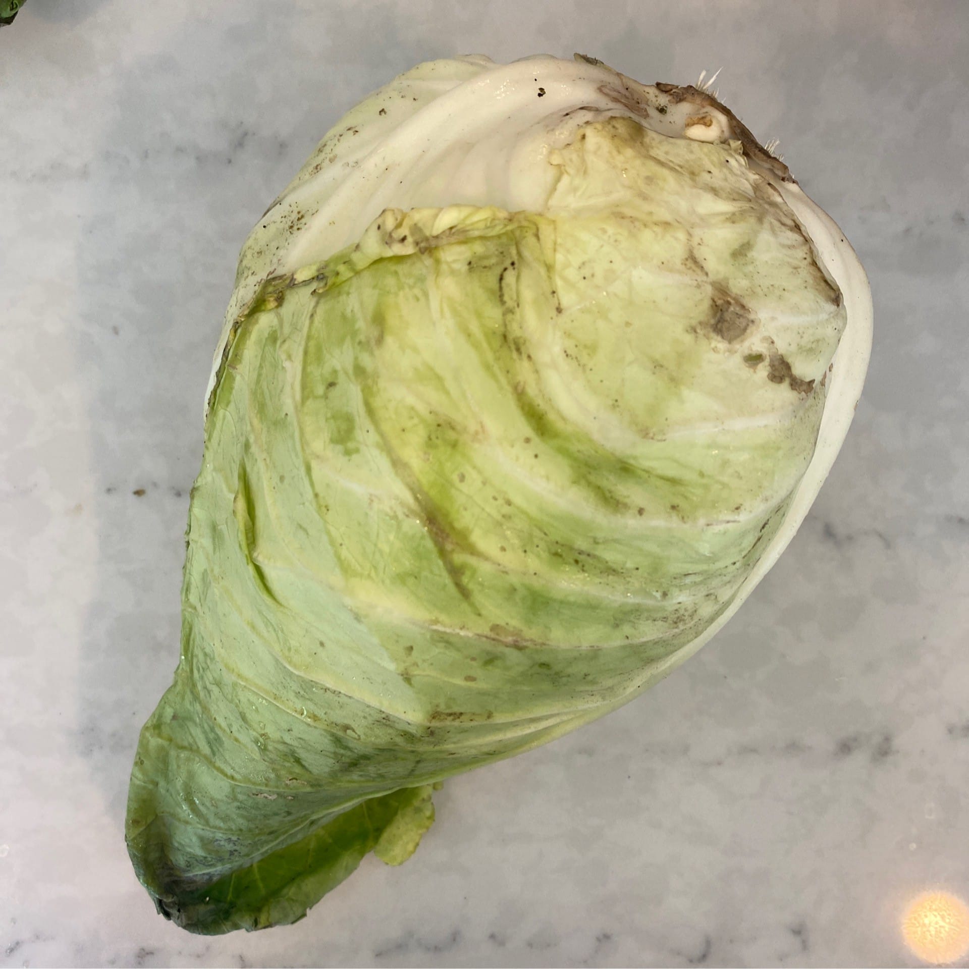 cabbage caraflax per head