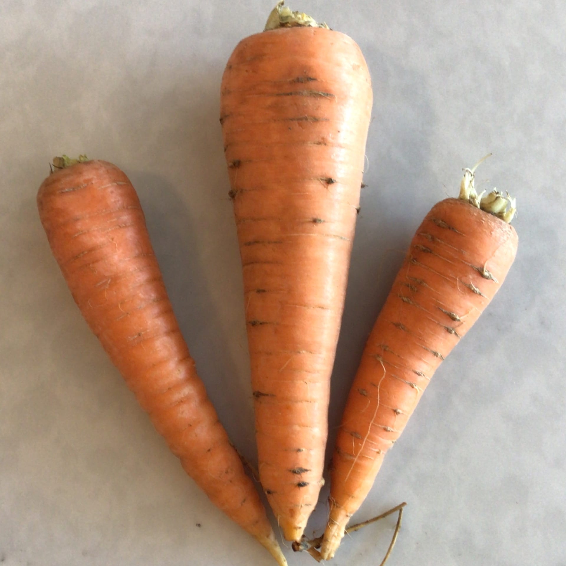 carrots 2 usda organic