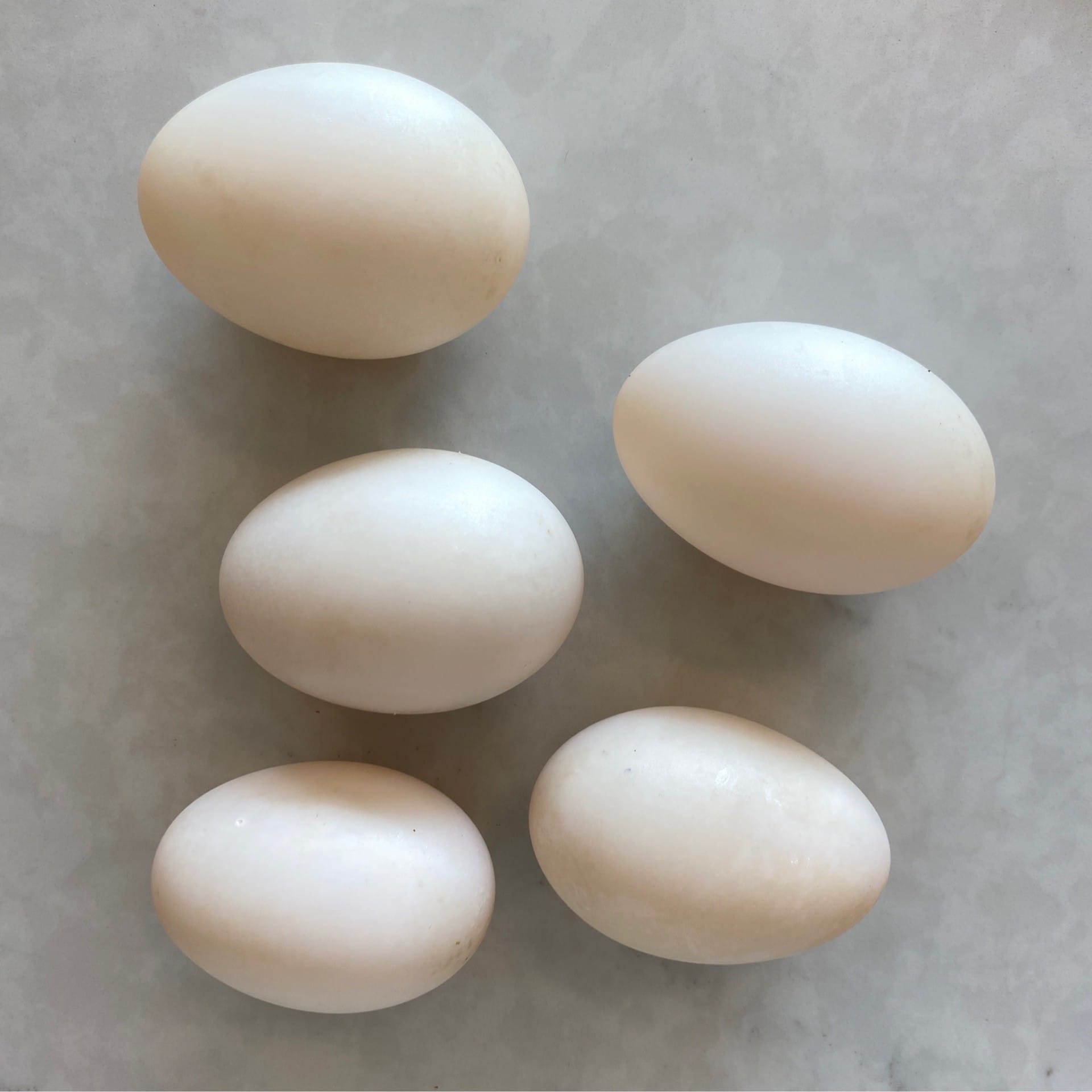 duck eggs full size organic half dozen