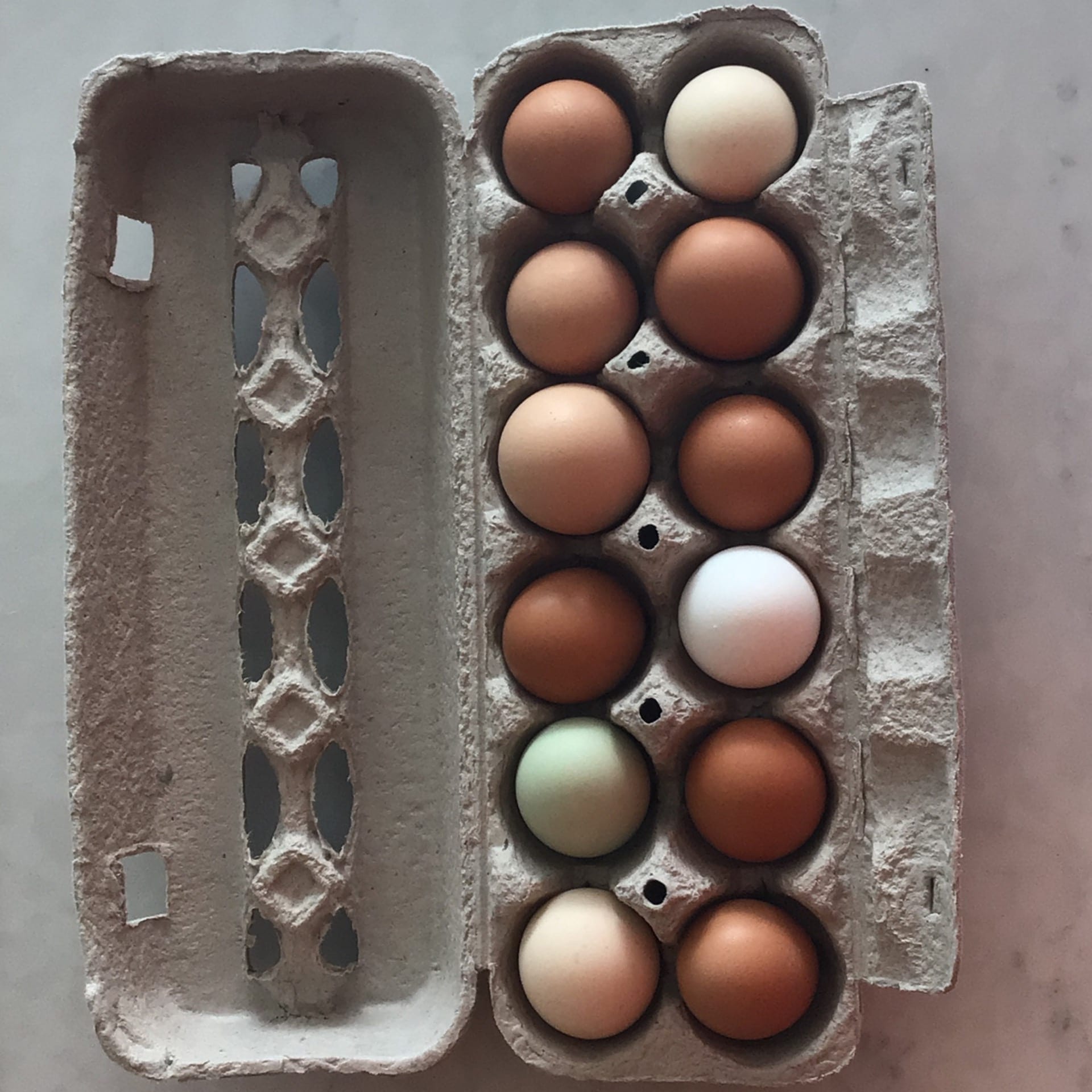 eggs organic meristem farms dozen