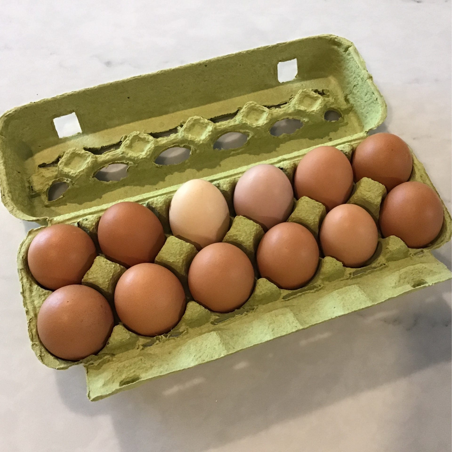 eggs pasture raised dozen