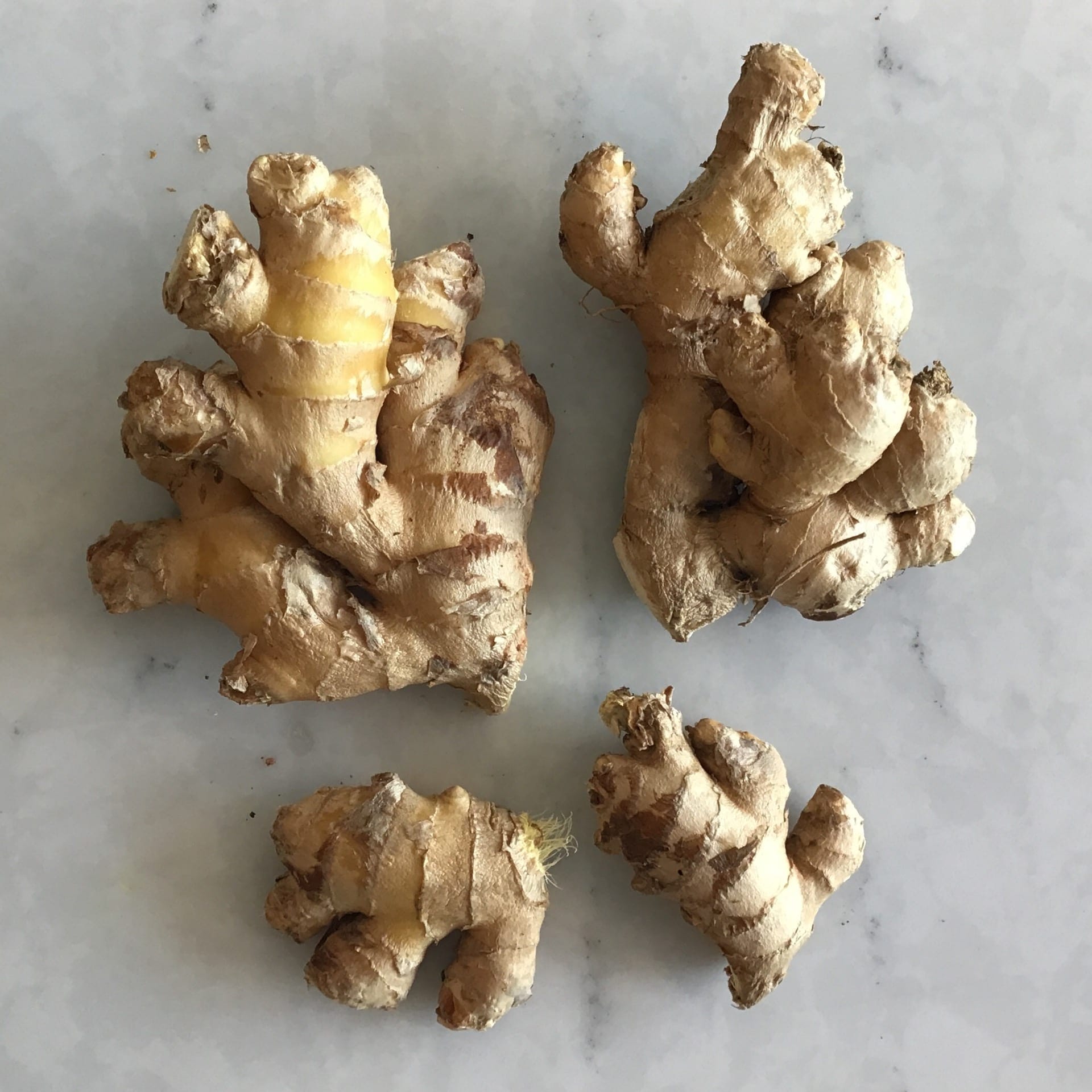 ginger fresh root 90c oz