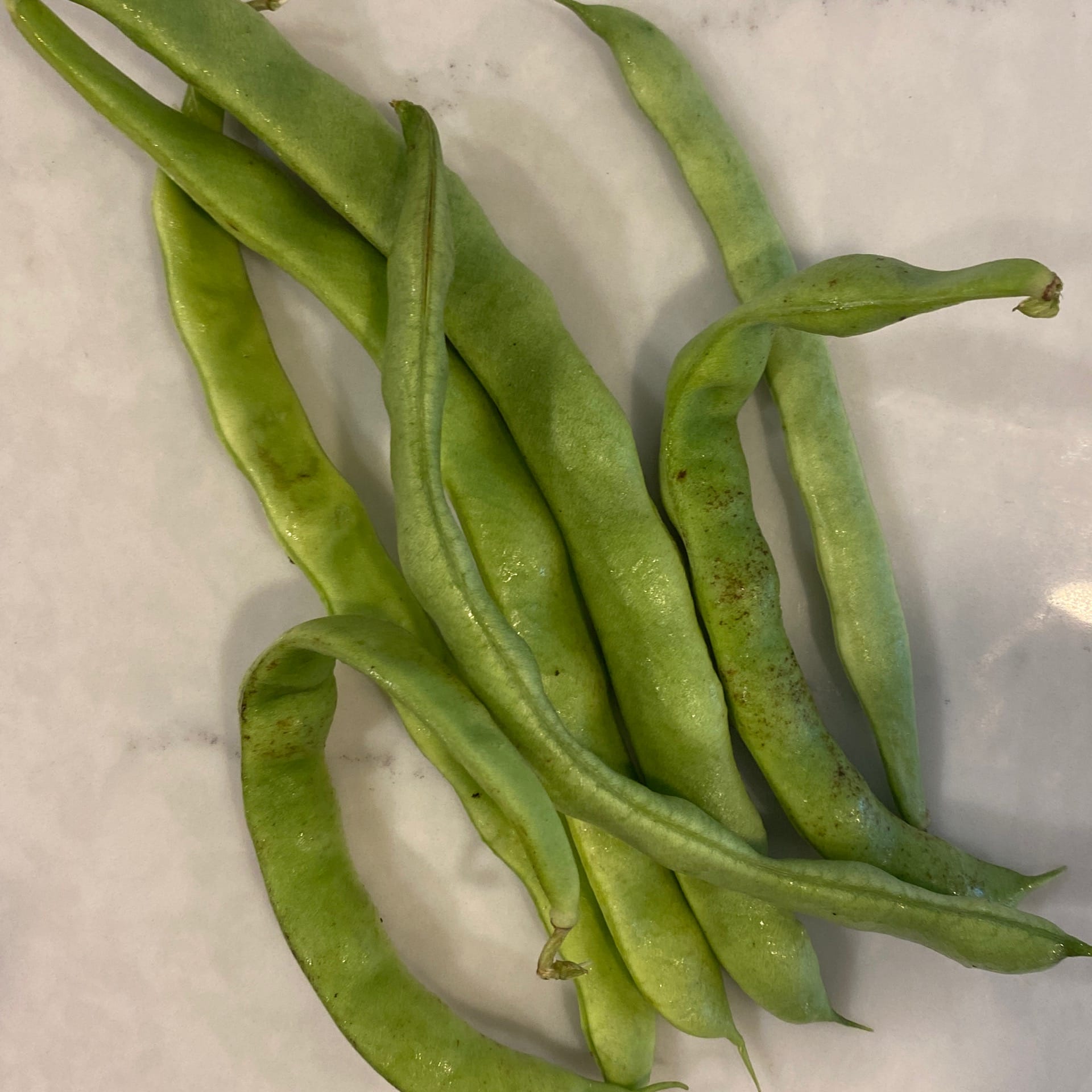 green beans italian flat pod frozen