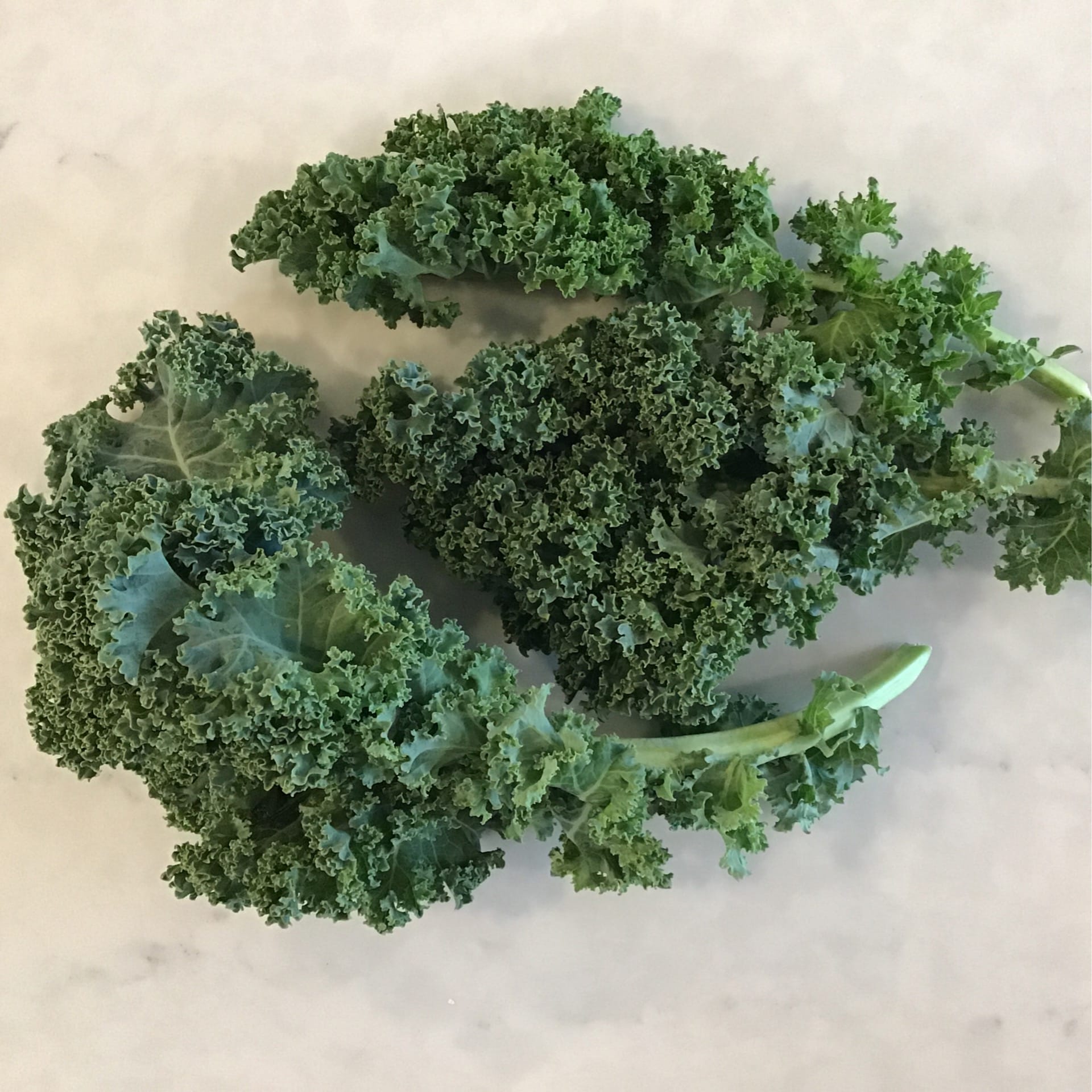 green curly kale