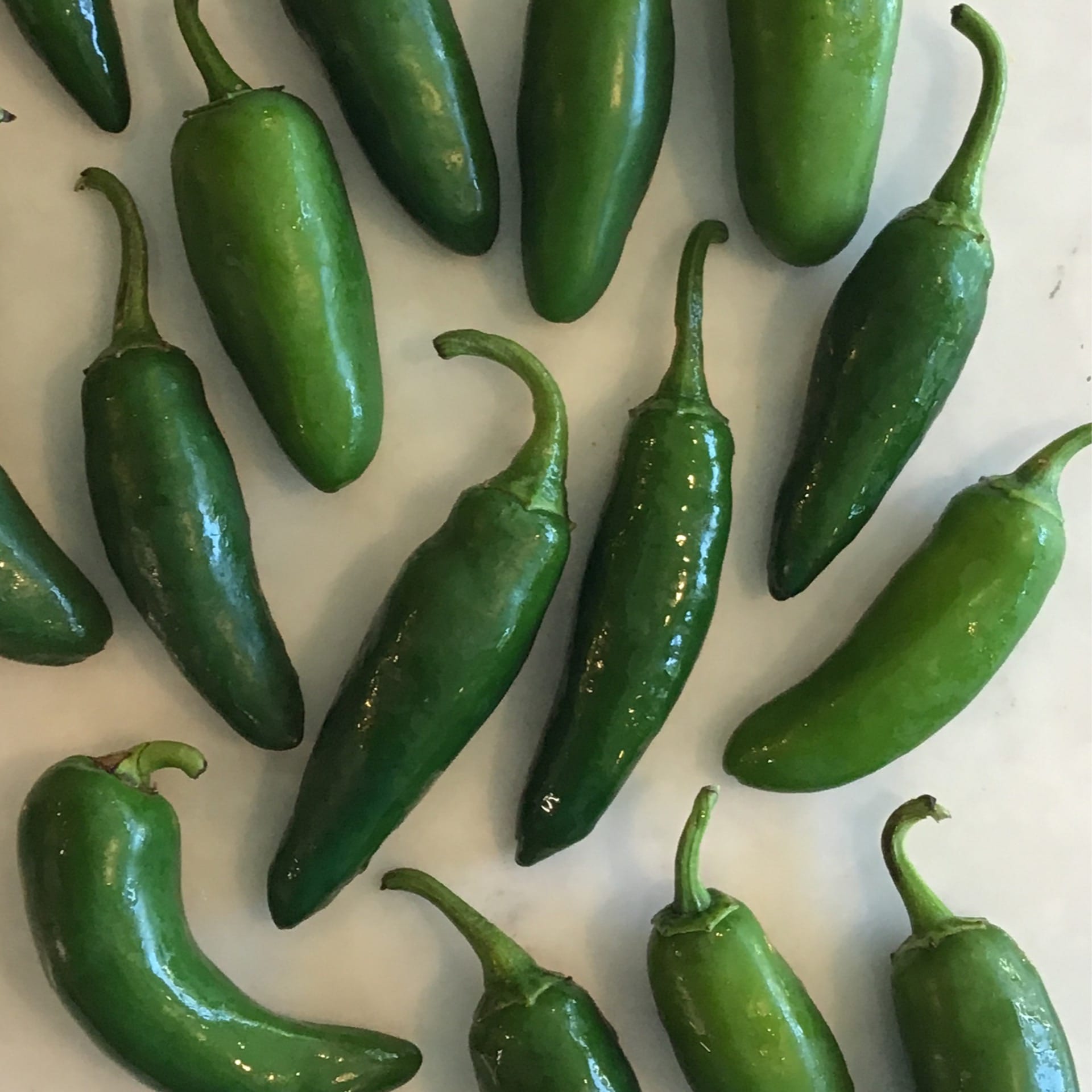 jalapeno peppers usda organic
