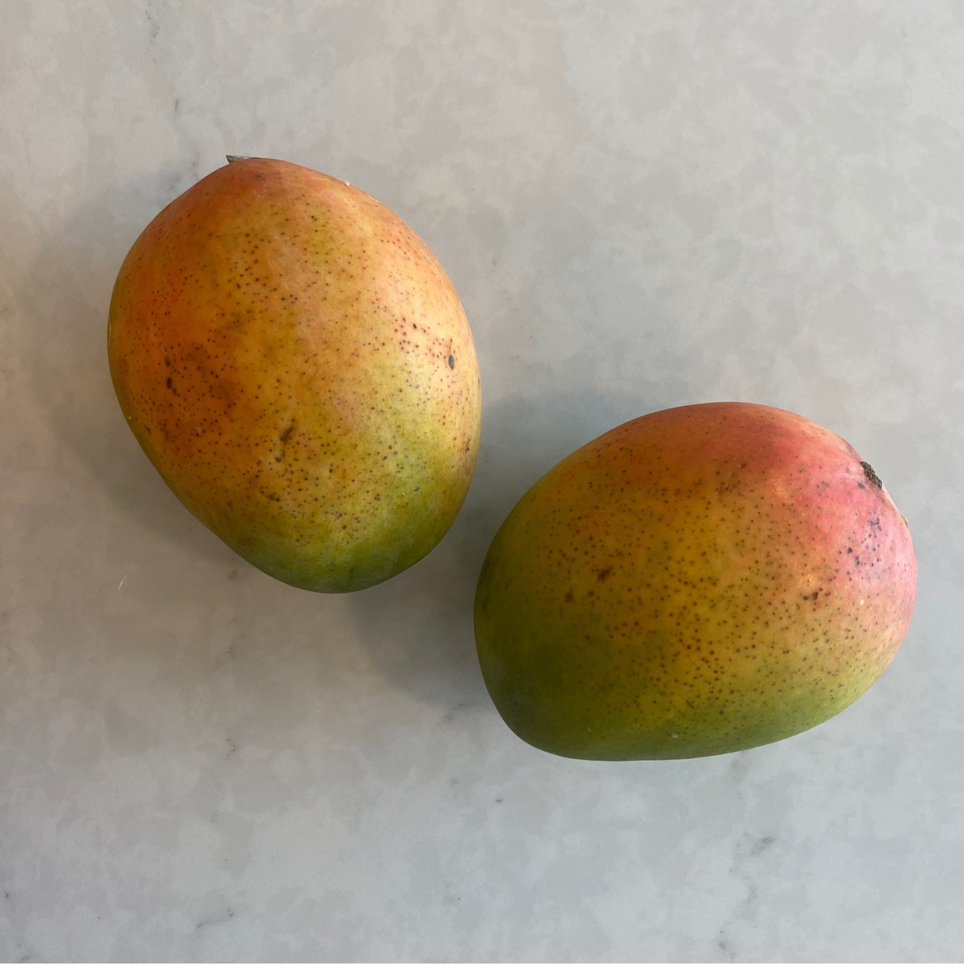 mangoes keitt variety 25 lbs each