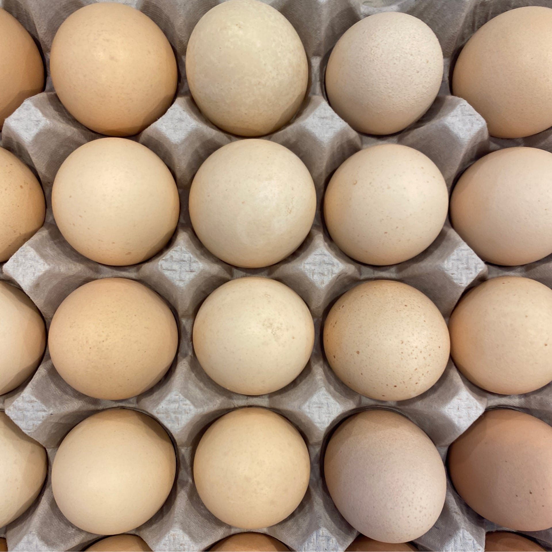 medium eggs organic dozen