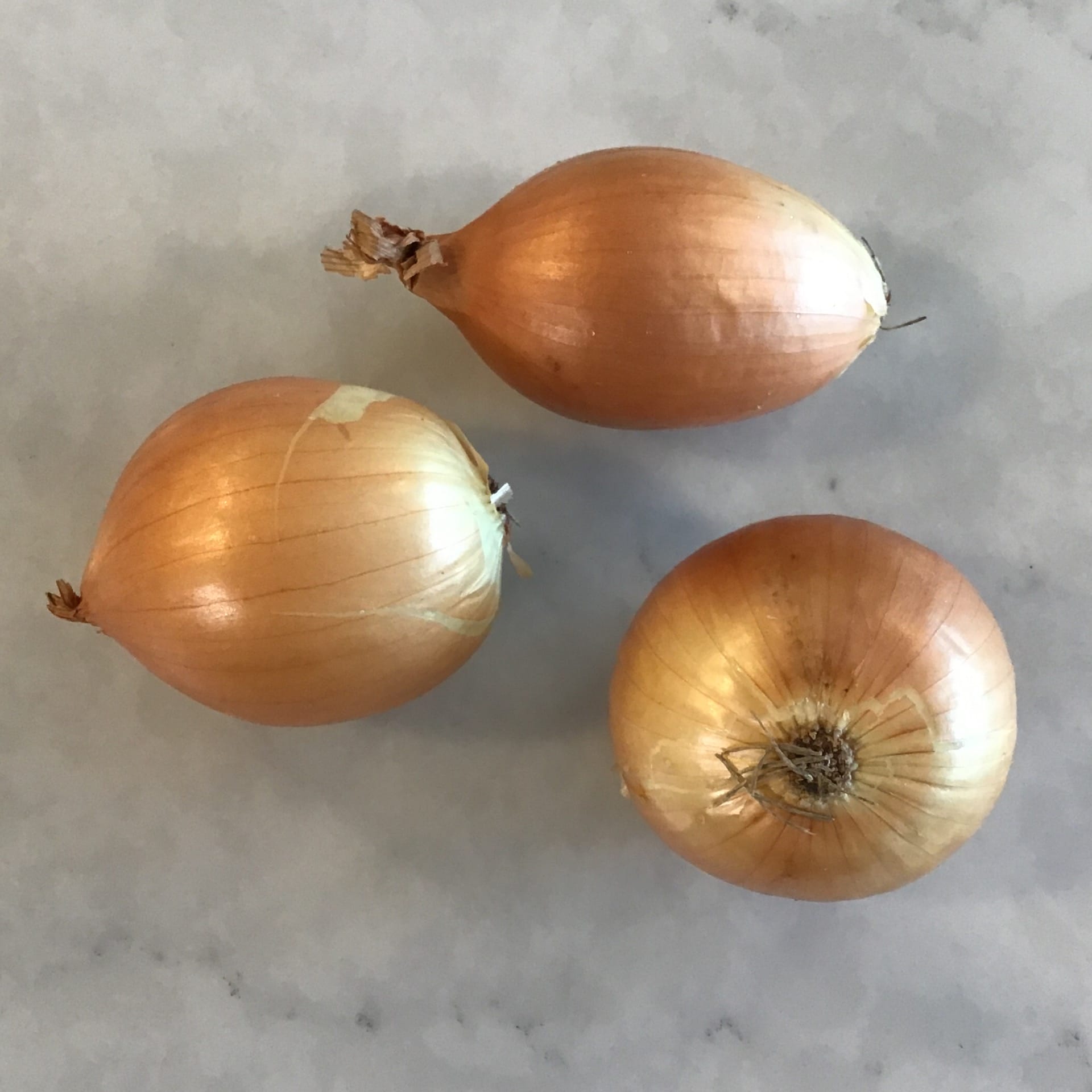 onions yellow talon small