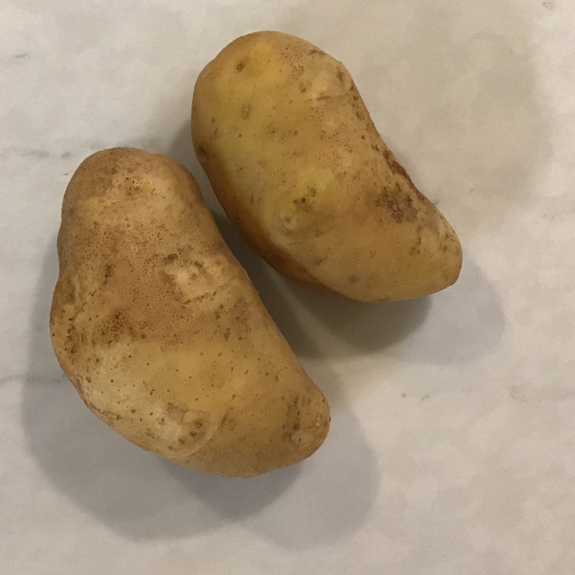 potatoes kennebec
