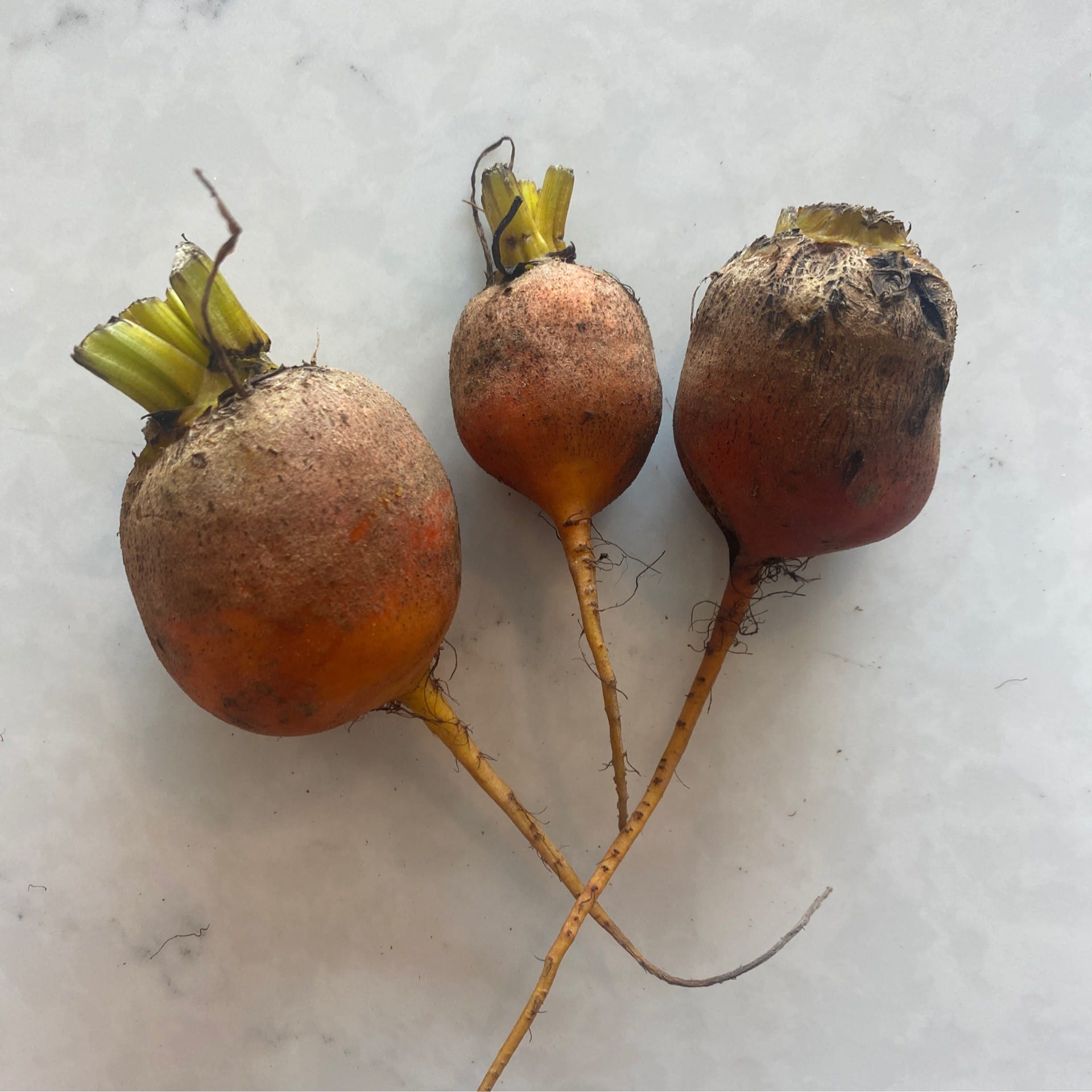 small red beets