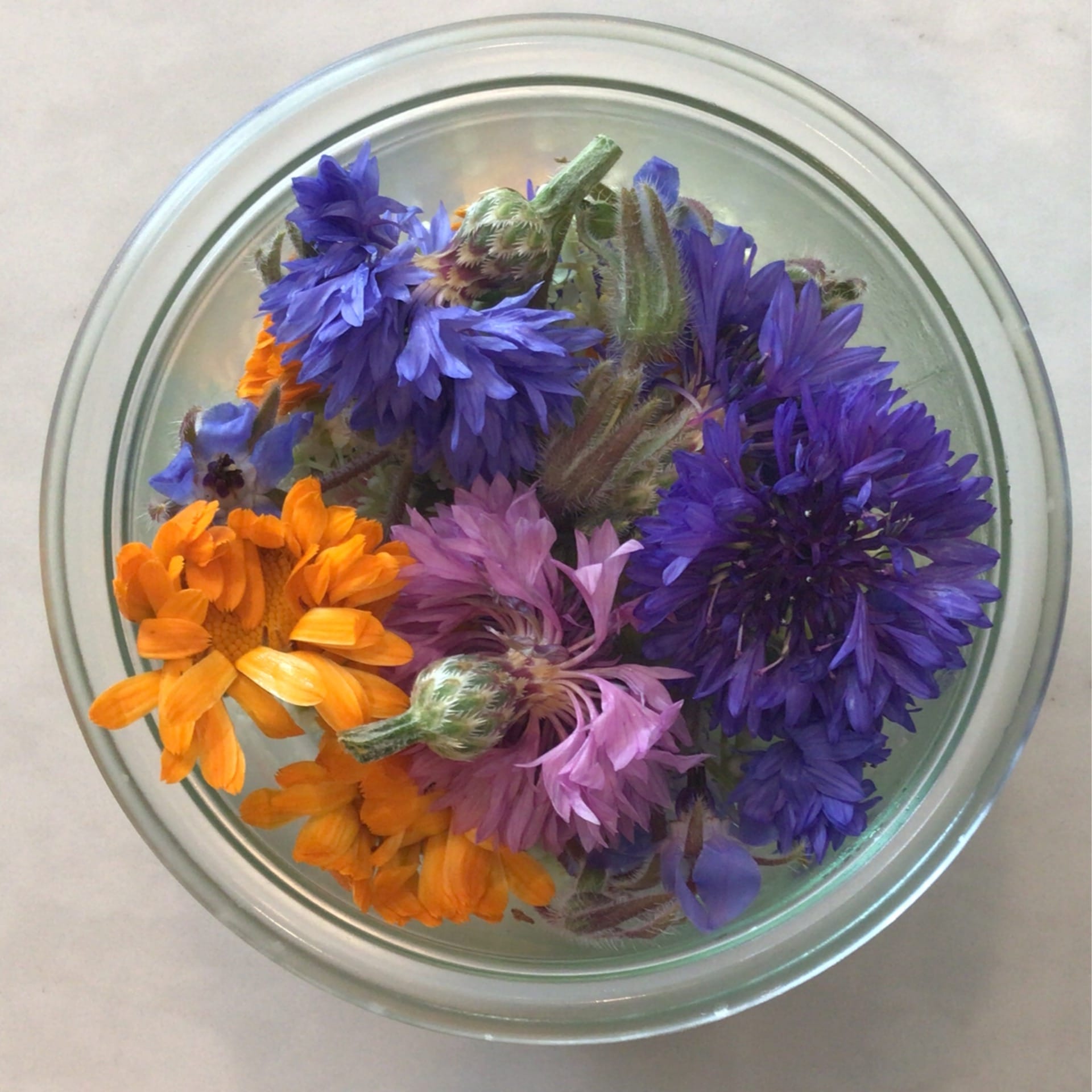 sold out benson bounty edible flowers jar deposit