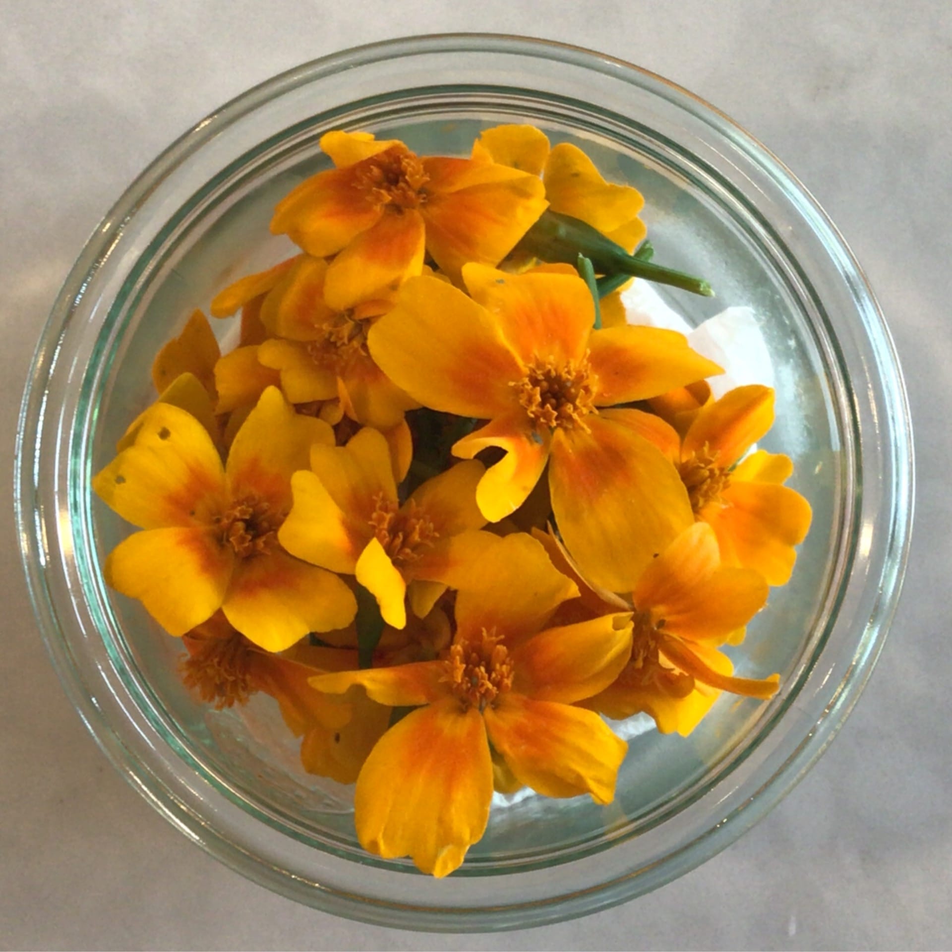 sold out edible marigold flowers plus jar deposit