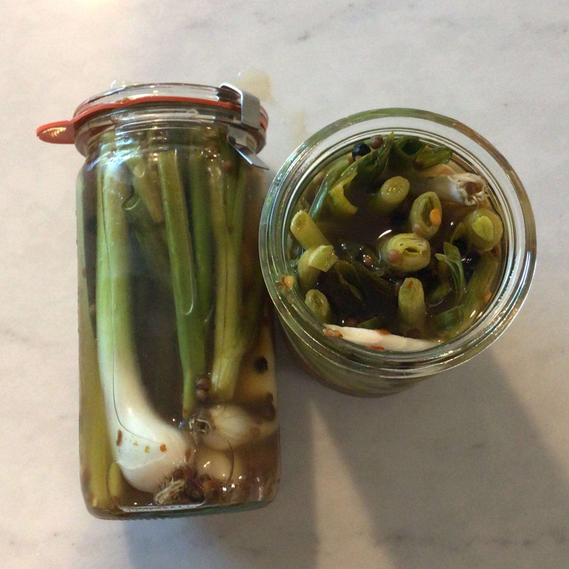 sold out house made pickled green garlic