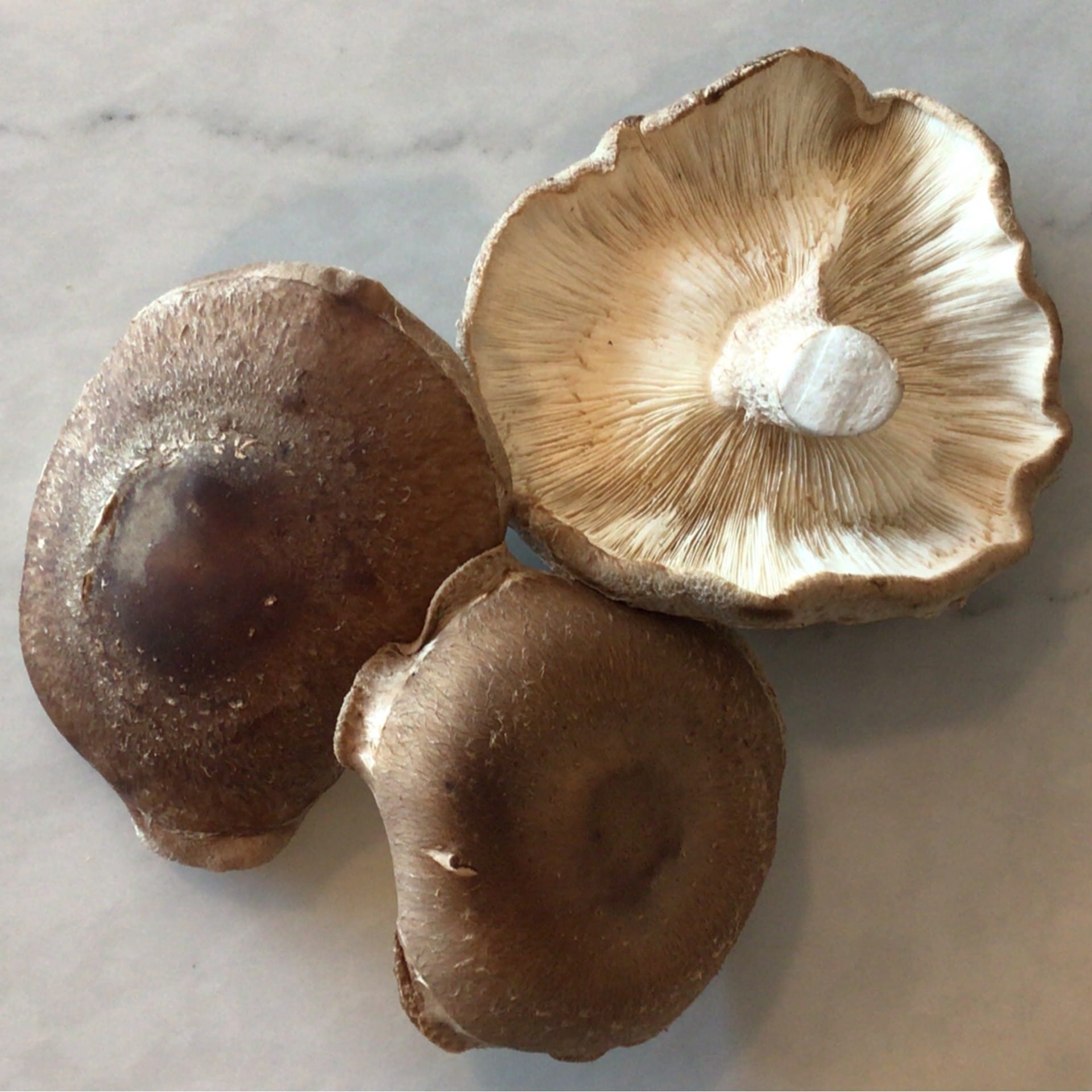sold out last week shiitake mushrooms