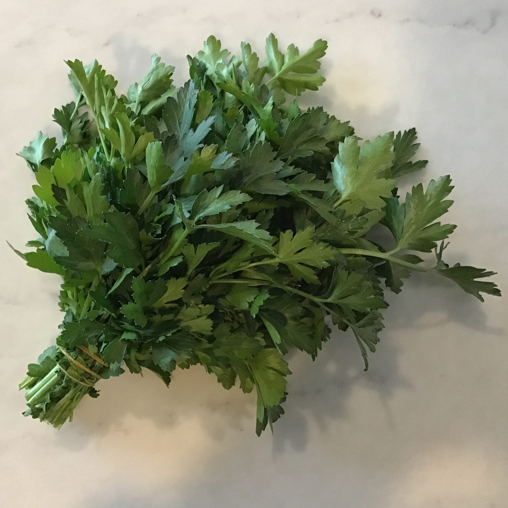 sold out parsley flat leaf bunch