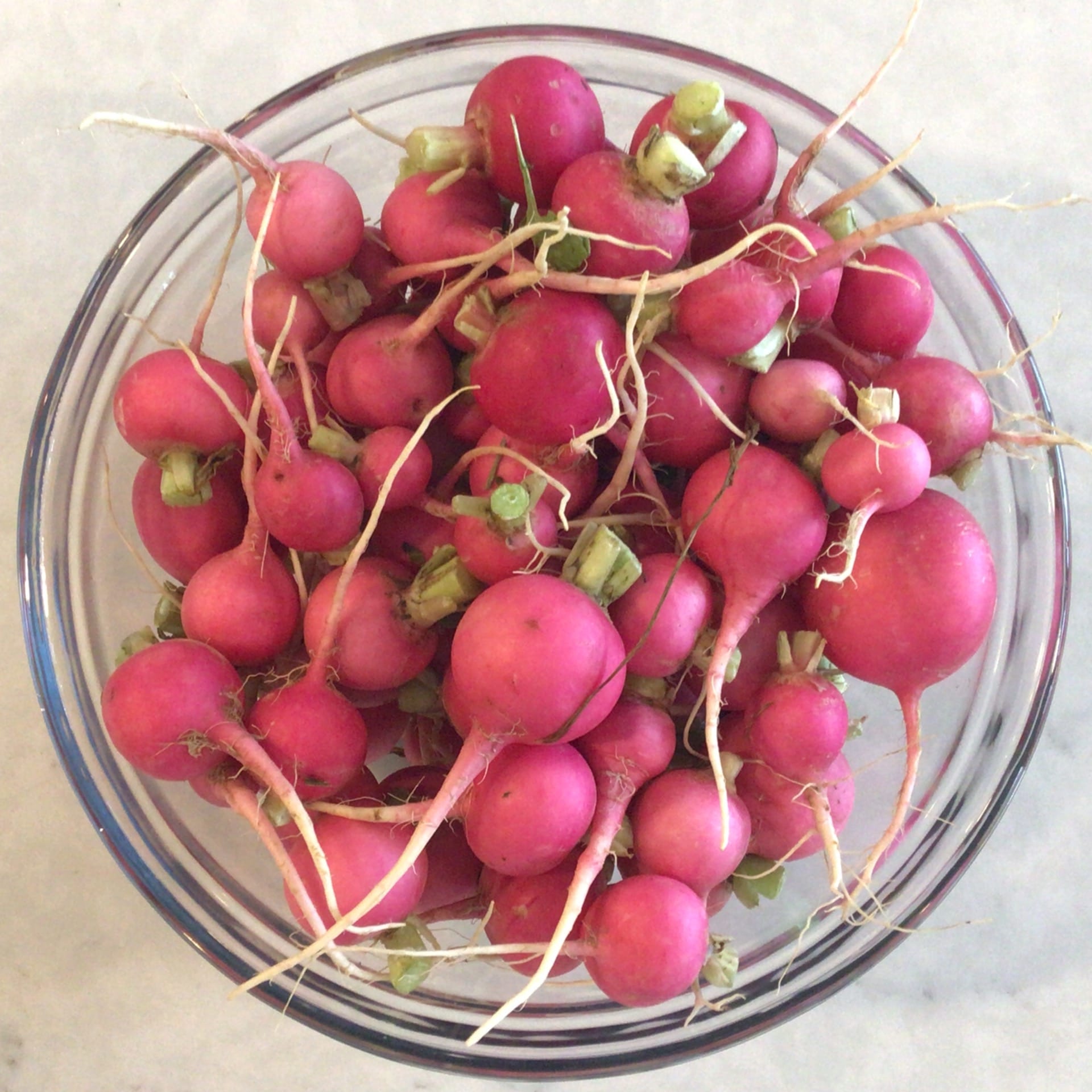 sold out pink beauty radishes loose