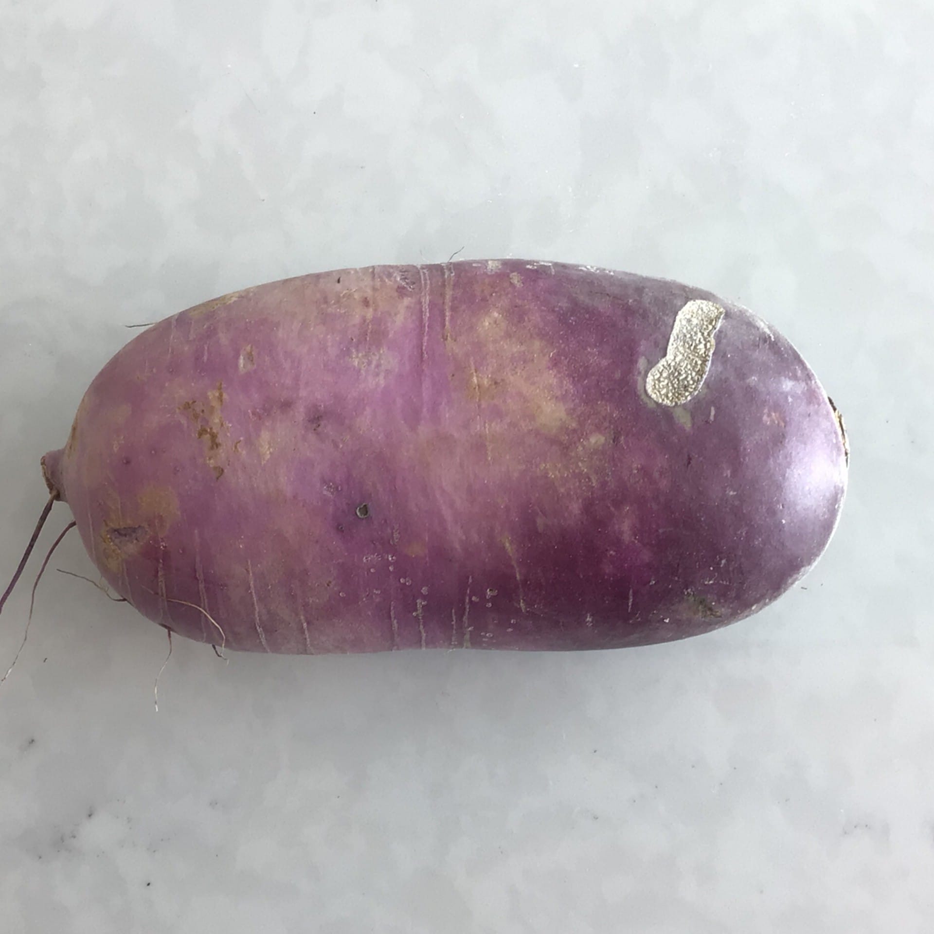 sold out purple daikon radish