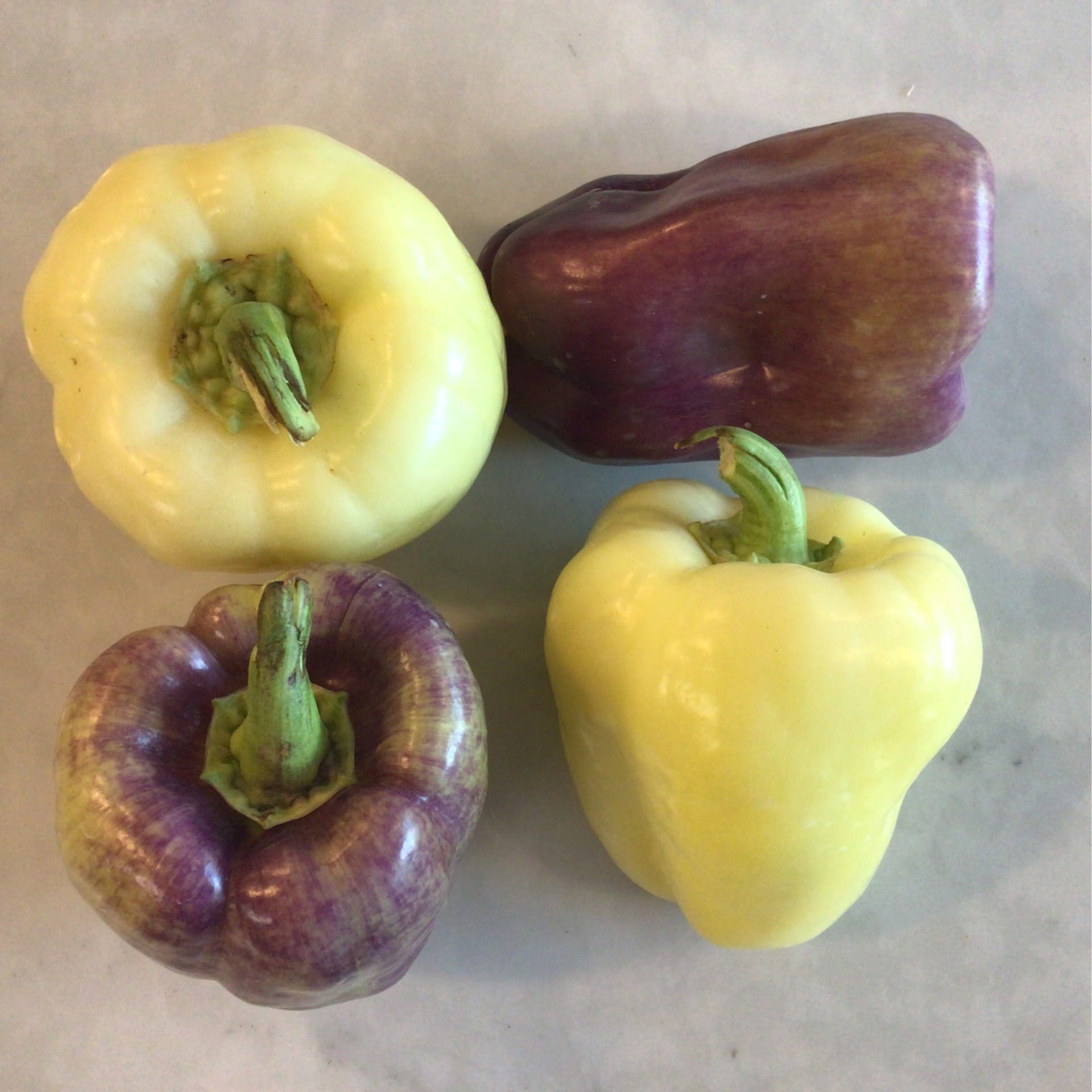 sold out sale lilac and white bell peppers