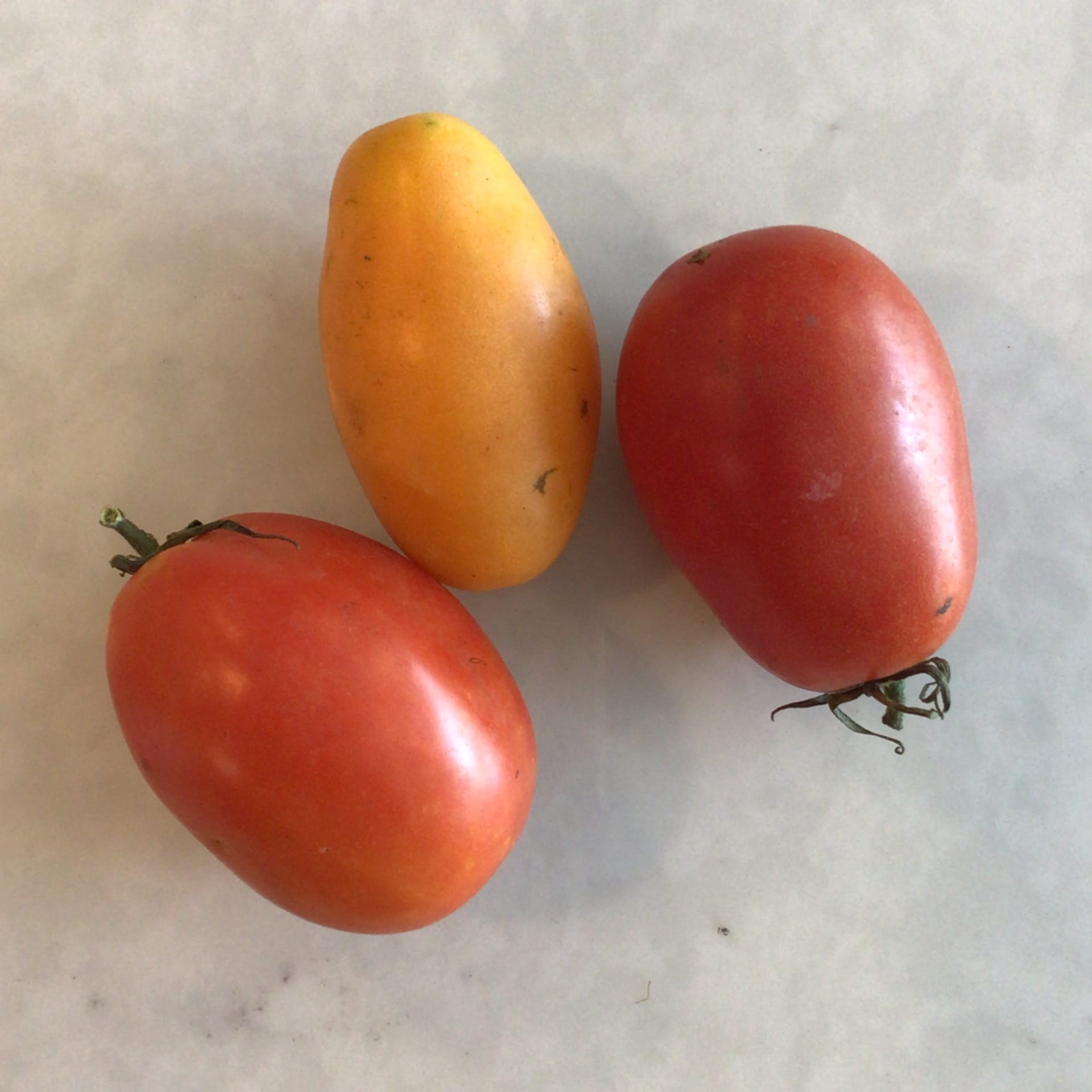 sold out sale roma san marzano tomatoes