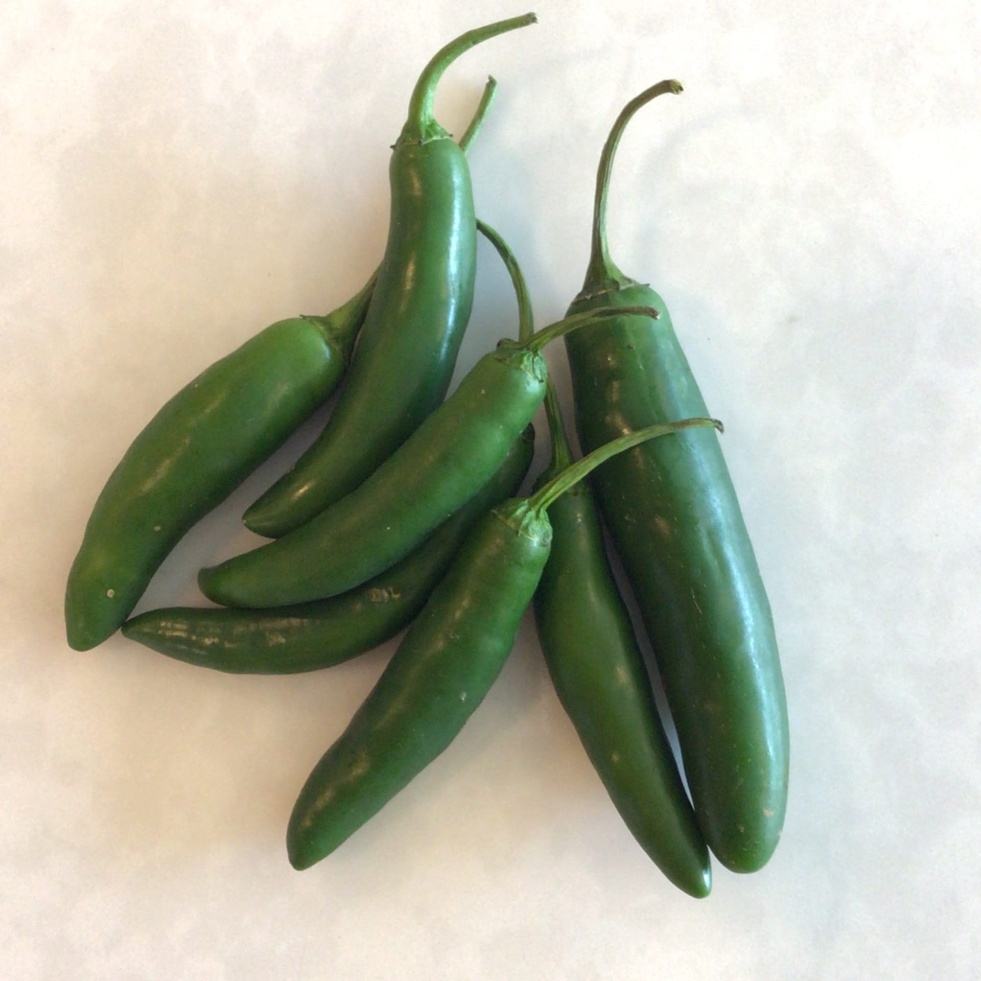 sold out sale serrano peppers