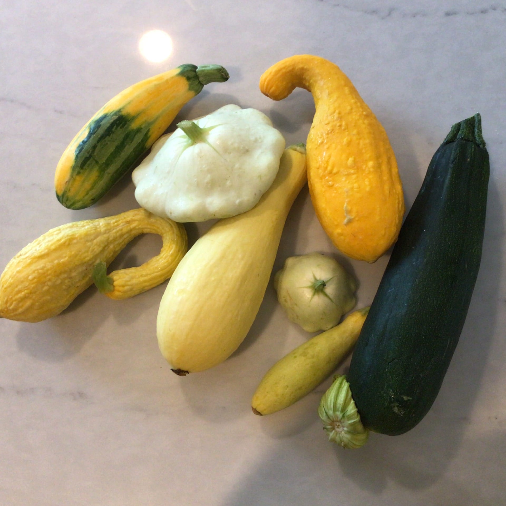 sold out sale summer squash