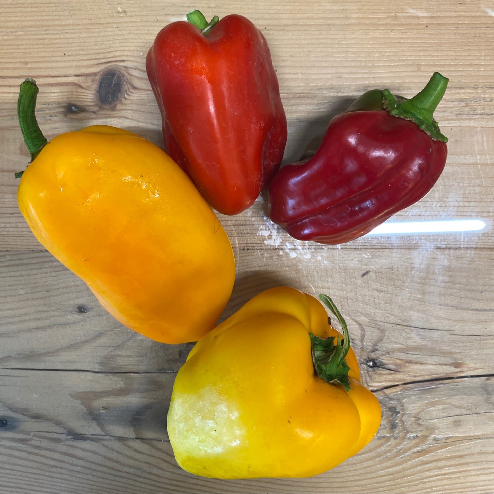 sold out small colorful bell peppers