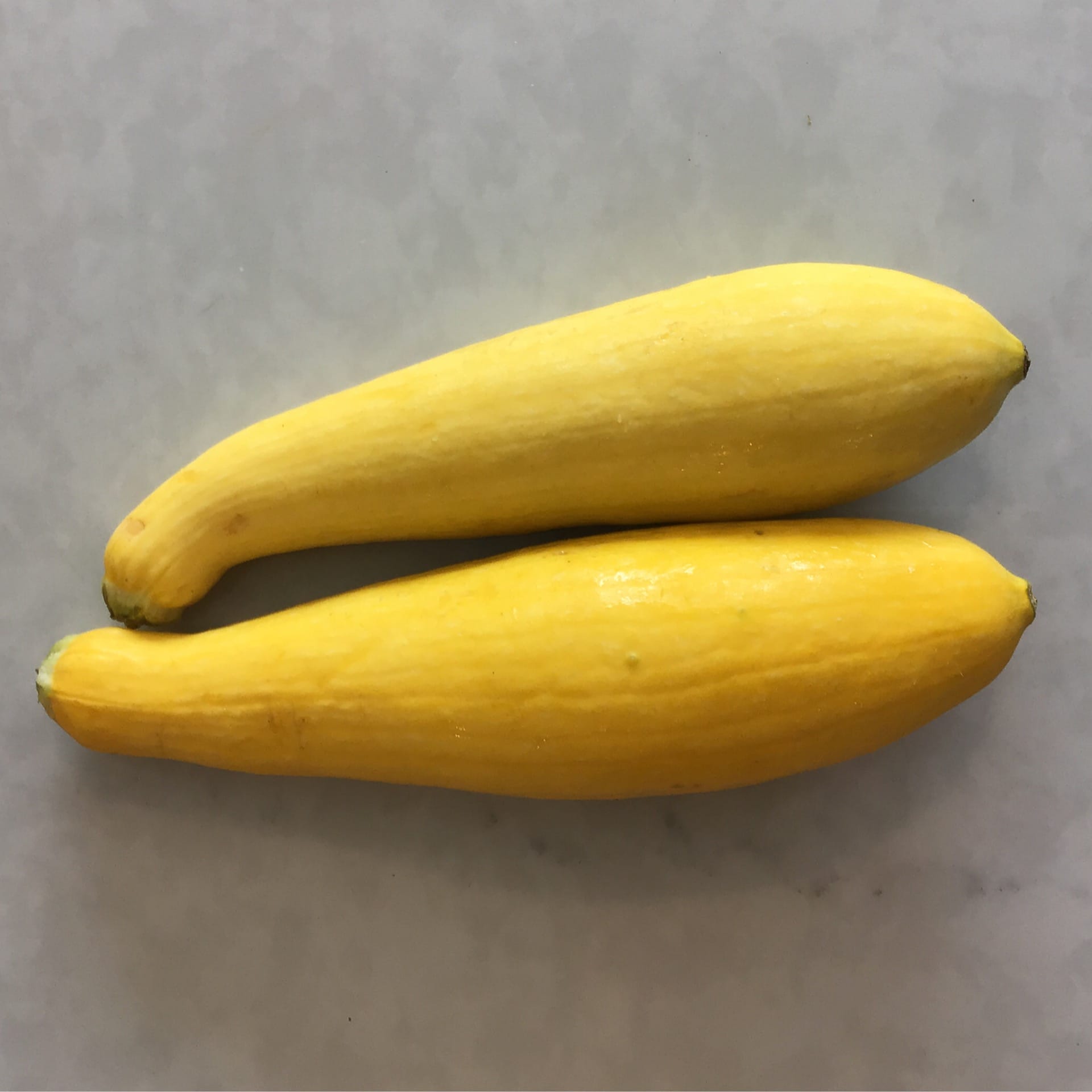 sold out yellow summer squash organic