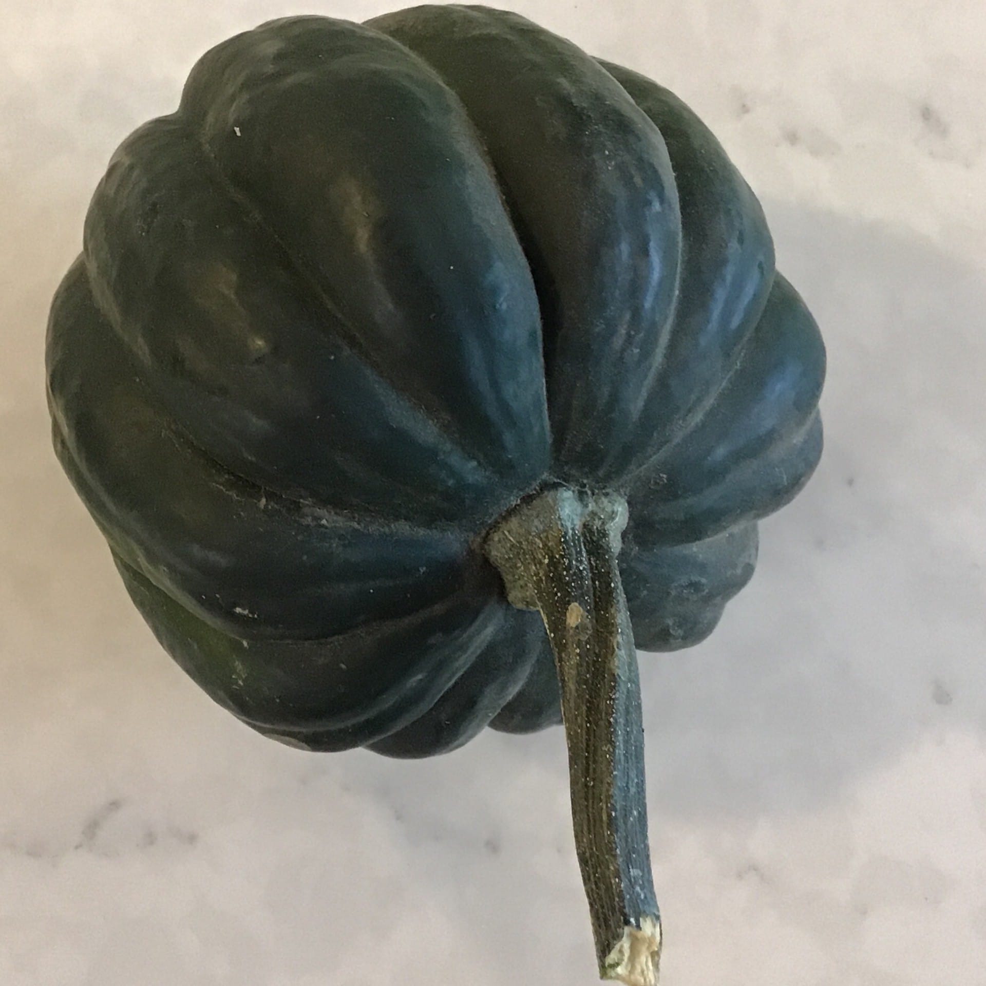 squash acorn usda organic