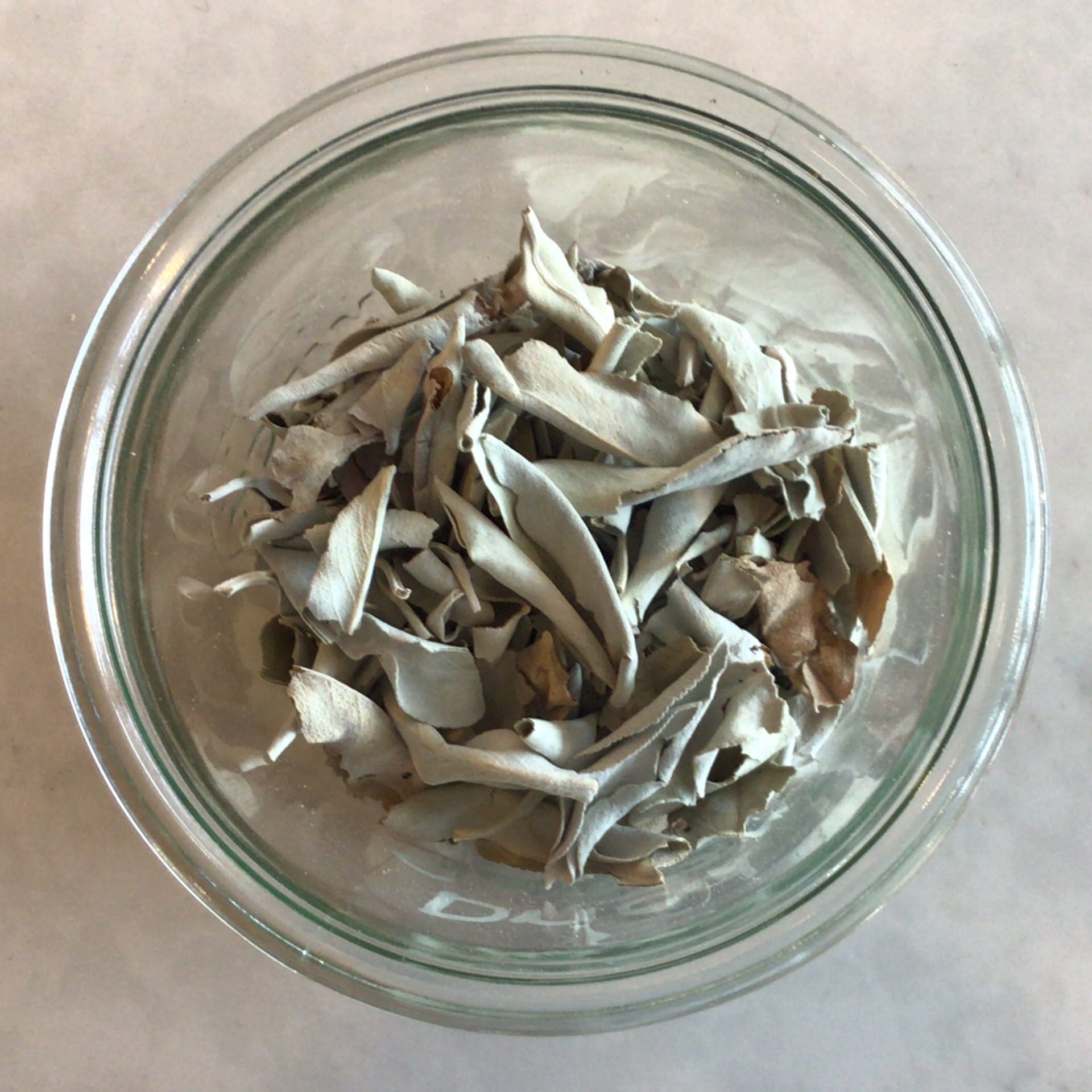 white sage leaf sustainably cultivated