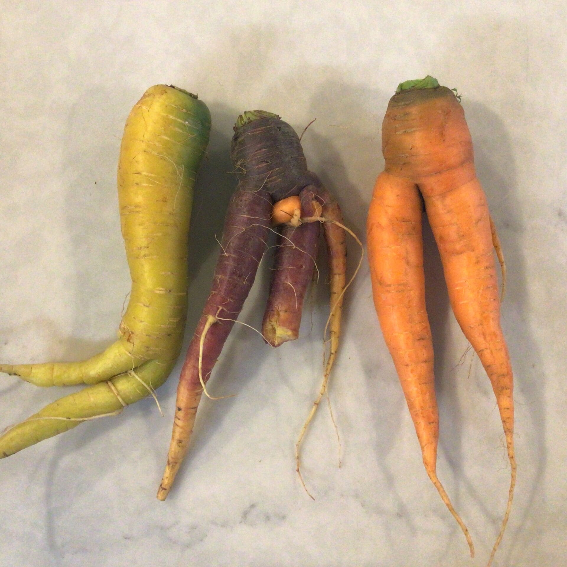 mixed carrots color shape