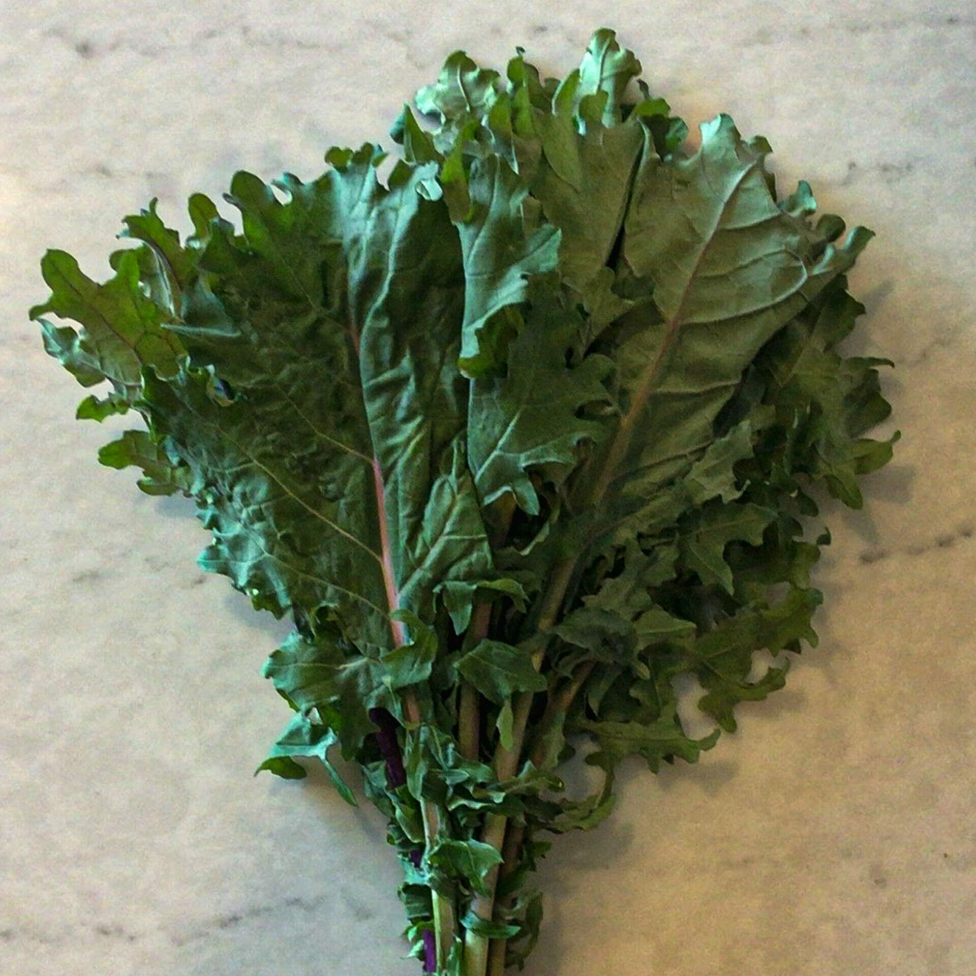 Red Russian Kale Bunches