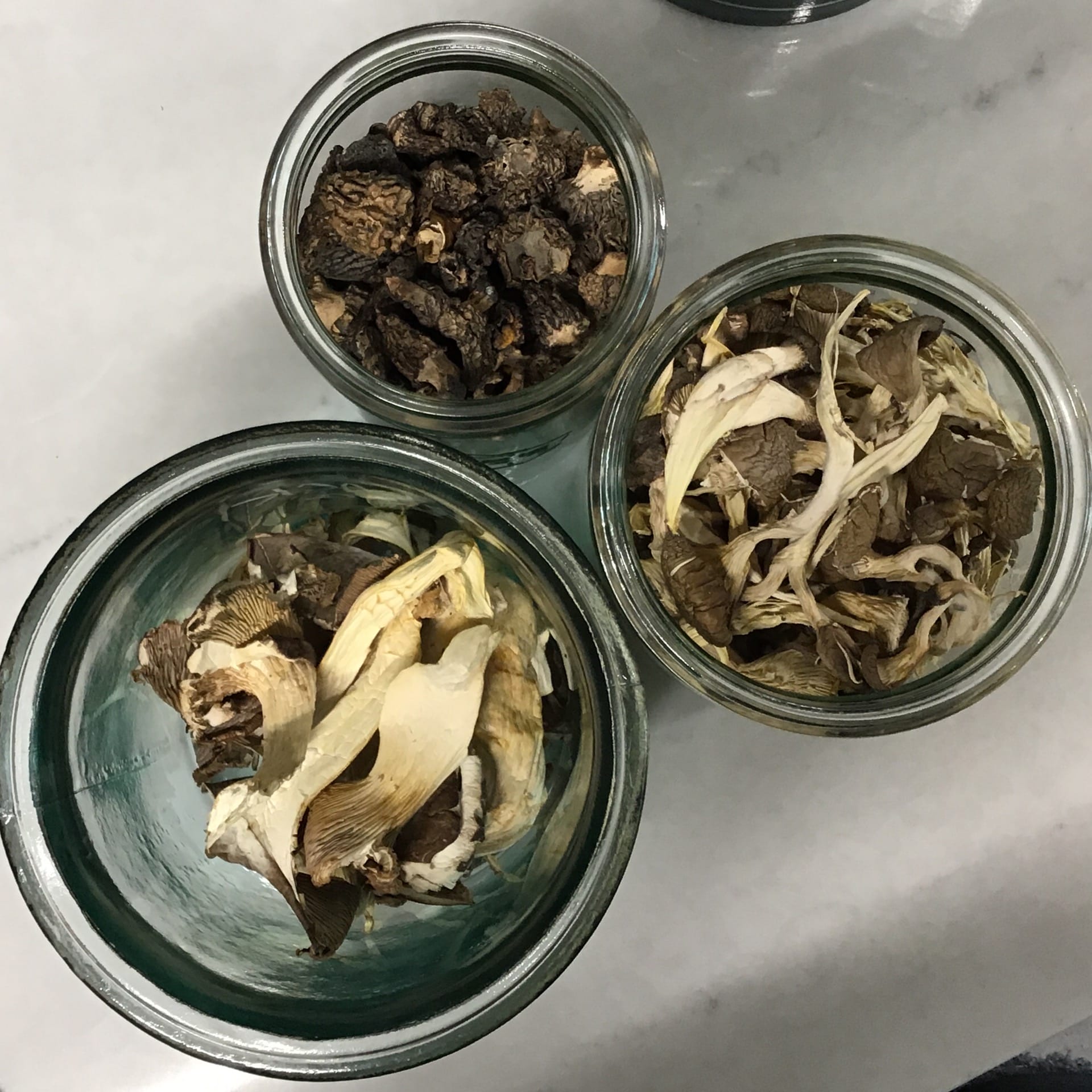 dried mushrooms many varieties