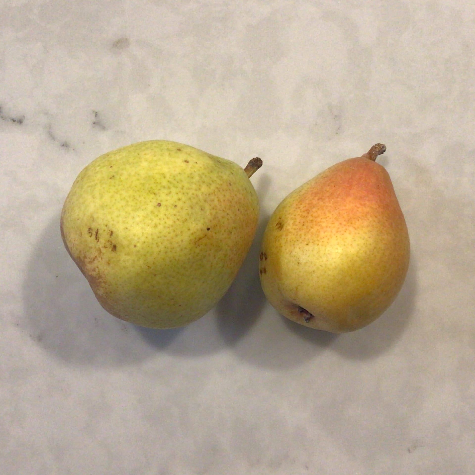 sold out pears comice